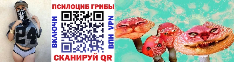 Купить где  Сычёвка  Псилоцибиновые грибы ЛСД 
